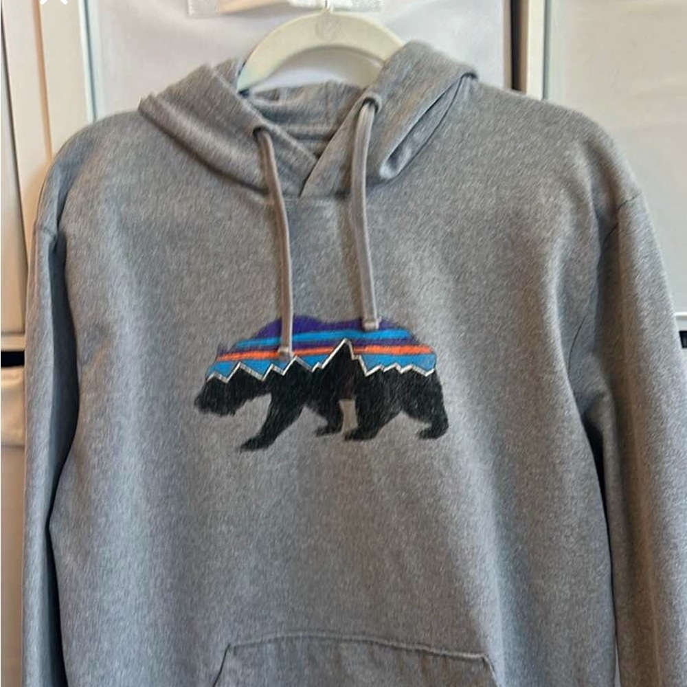 Patagonia Men's Fitz Roy Bear Midweight Hoody - Gray - Picture 2 of 10